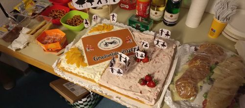 Bild 046